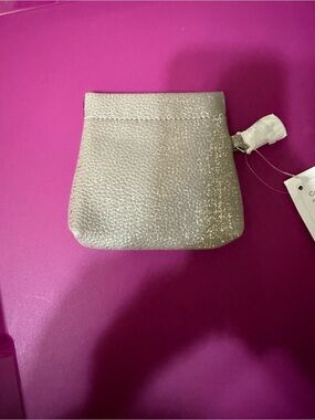 thirty-one Metallic Silver Coin Pouch